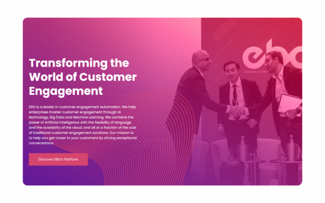 writelingo case study ebo